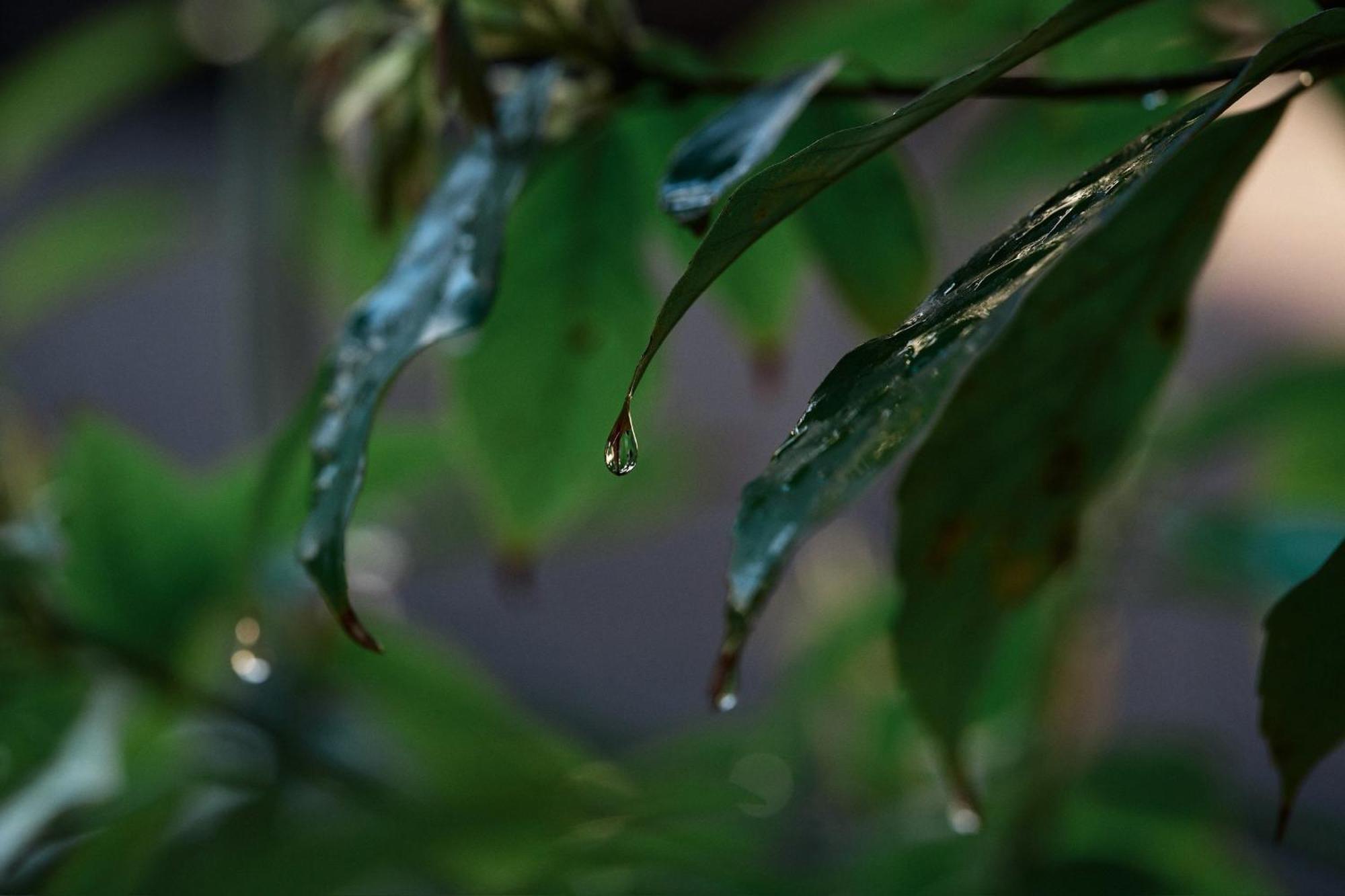 Unsui 武雄蓬莱町 雲水 Takeo Exterior foto